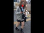 【盗撮】新宿駅周辺でスレンダー美脚仕様のＪＫ美少女をストーカーしながらパンティ隠し撮り！