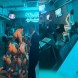 thumbnail 港区のバーで女達に全裸組体操をさせた金持ち経営者が炎上中