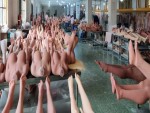 ラブドールの製造工場、地獄すぎてワロタ